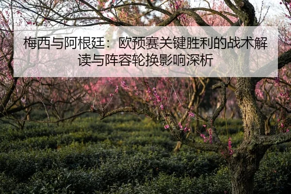 梅西与阿根廷：欧预赛关键胜利的战术解读与阵容轮换影响深析