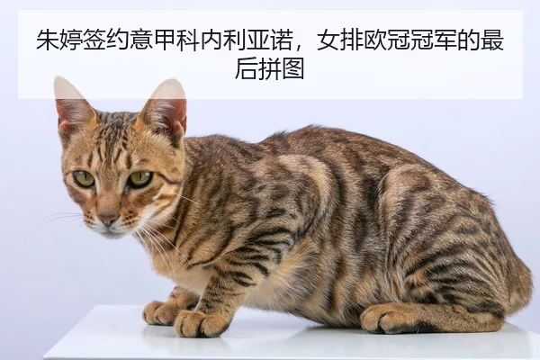 zhu-ting-qian-yue-yi-jia-ke-nei-li-ya-nuo-nv-pai-ou-guan-guan-jun-de-zui-hou-pin-tu-2-118.jpg